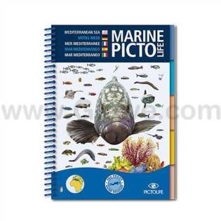 Pictolife Mediterranean Sea-life Guide