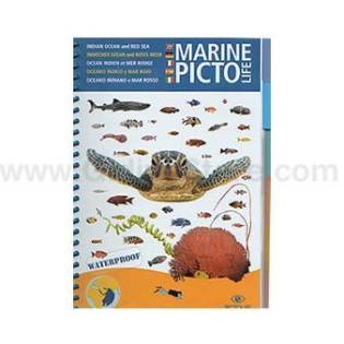 Pictolife Guía Especies del Mar Rojo / Indico / Maldivas